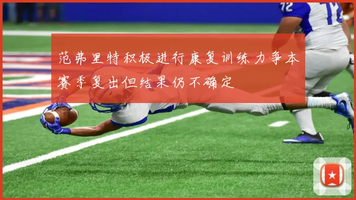 范弗里特积极进行康复训练力争本赛季复出但结果仍不确定