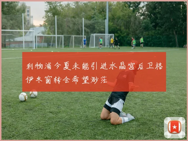 利物浦今夏未能引进水晶宫后卫格伊冬窗转会希望渺茫